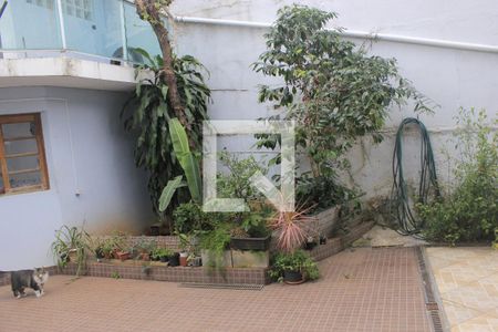 Casa à venda com 315m², 4 quartos e 6 vagasQuintal com piscina