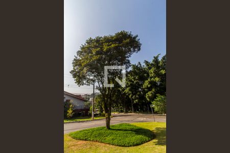 Vista de casa de condomínio à venda com 4 quartos, 407m² em Residencial Doze (alphaville), Santana de Parnaíba
