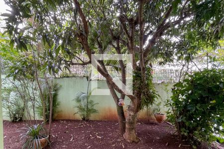 Vista - Sala de casa à venda com 3 quartos, 327m² em Parque dos Passaros, São Bernardo do Campo