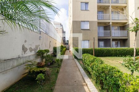 Área comum de apartamento para alugar com 2 quartos, 67m² em Itaquera, São Paulo