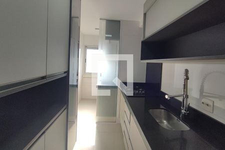 Cozinha de apartamento para alugar com 2 quartos, 49m² em Vila Mimosa, Campinas