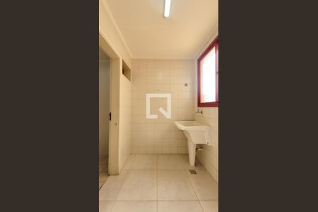 Área de Serviço de apartamento para alugar com 4 quartos, 145m² em Vila Itapura, Campinas