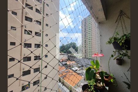 Foto 29 de apartamento à venda com 3 quartos, 79m² em Parque Mandaqui, São Paulo