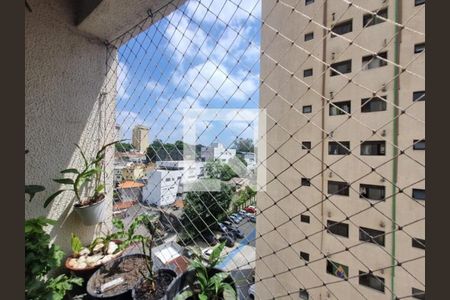 Foto 28 de apartamento à venda com 3 quartos, 79m² em Parque Mandaqui, São Paulo