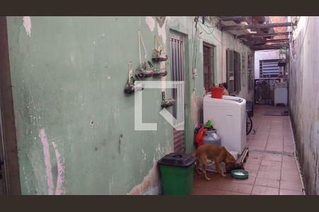 Casa à venda com 2 quartos, 200m² em Rio Pequeno, São Paulo