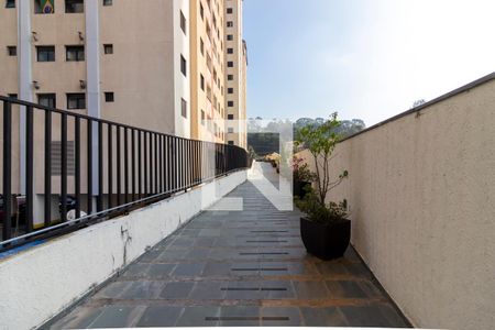 Corredor de Entrada de apartamento à venda com 3 quartos, 73m² em Parque Mandaqui, São Paulo