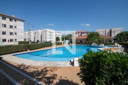 Área Comum - Piscina de apartamento para alugar com 2 quartos, 46m² em Jardim Santa Maria (nova Veneza), Sumaré