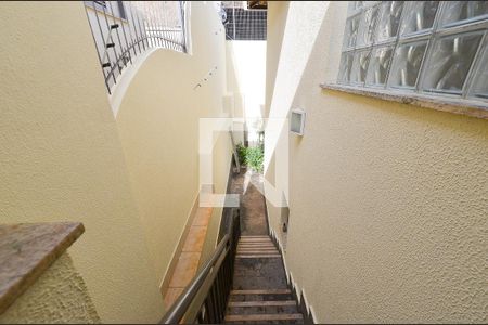Acesso ao Jardim de casa à venda com 5 quartos, 405m² em Anchieta, Belo Horizonte