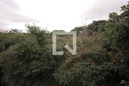 Vista da cobertura de apartamento à venda com 2 quartos, 120m² em Vila Eldizia, Santo André