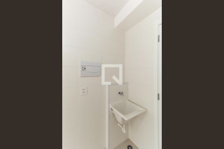 Área de Serviço de apartamento para alugar com 1 quarto, 29m² em Belenzinho, São Paulo