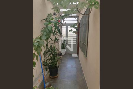 Foto 30 de casa à venda com 4 quartos, 220m² em Vila Santa Clara, São Paulo