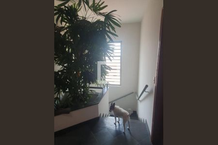 Foto 05 de casa à venda com 4 quartos, 220m² em Vila Santa Clara, São Paulo