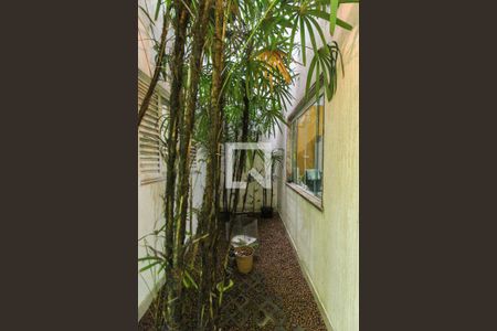 Jardim de Inverno de casa para alugar com 4 quartos, 260m² em Vila Campanela, São Paulo