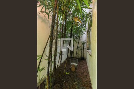 Jardim de Inverno de casa para alugar com 4 quartos, 260m² em Vila Campanela, São Paulo