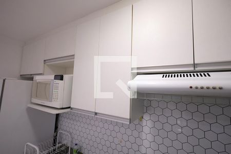 Cozinha - Armários de apartamento para alugar com 2 quartos, 47m² em Parque Sao Vicente, Santo André