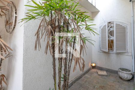 Quintal de casa para alugar com 2 quartos, 323m² em Liberdade, São Paulo