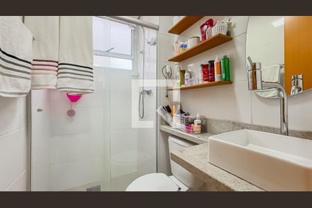 Banheiro de apartamento à venda com 2 quartos, 43m² em Morro Santana, Porto Alegre