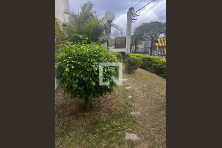 Foto 15 de apartamento à venda com 3 quartos, 60m² em Jardim Ivana, São Paulo