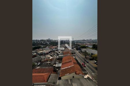 Foto 10 de apartamento à venda com 3 quartos, 60m² em Jardim Ivana, São Paulo