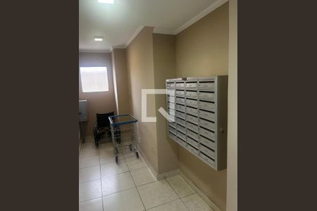 Foto 11 de apartamento à venda com 3 quartos, 60m² em Jardim Ivana, São Paulo