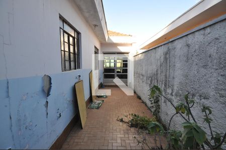 Quintal de casa à venda com 2 quartos, 400m² em Vila Nova Mazzei, São Paulo