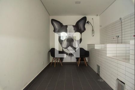 Área comum - Pet care de apartamento à venda com 2 quartos, 36m² em Planalto Paulista, São Paulo