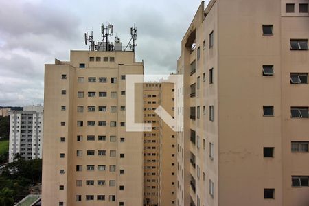 Suíte vista de apartamento para alugar com 2 quartos, 56m² em Planalto, São Bernardo do Campo