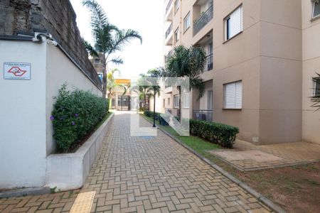 Área comum de apartamento à venda com 2 quartos, 55m² em Padroeira, Osasco