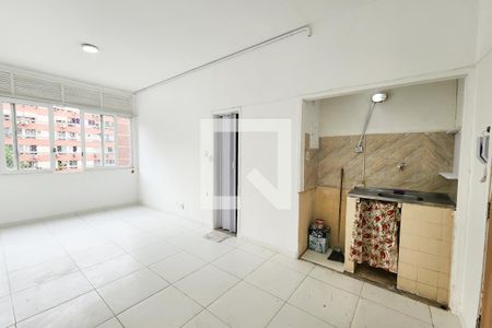 Sala/Quarto de apartamento para alugar com 1 quarto, 35m² em Laranjeiras, Rio de Janeiro
