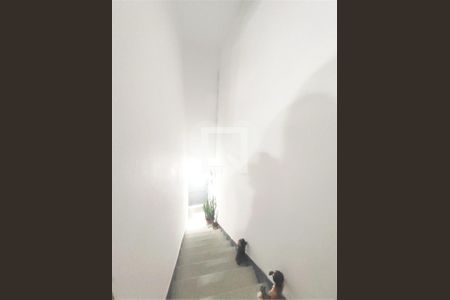 Casa à venda com 1 quarto, 169m² em Vila Canero, São Paulo