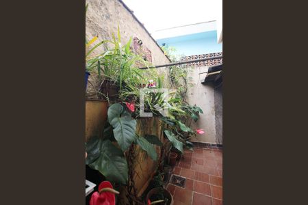 Quintal de casa à venda com 4 quartos, 220m² em Vila Marlene, São Bernardo do Campo