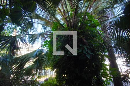 Sala _Vista de casa à venda com 2 quartos, 370m² em São João, Porto Alegre