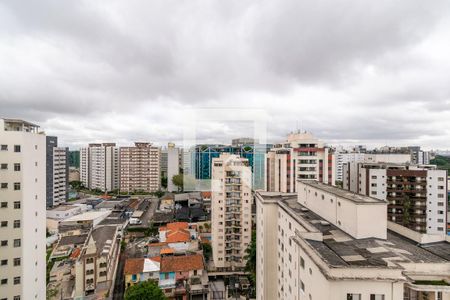 Vista da Varanda de apartamento à venda com 1 quarto, 53m² em Vila Guarani, São Paulo