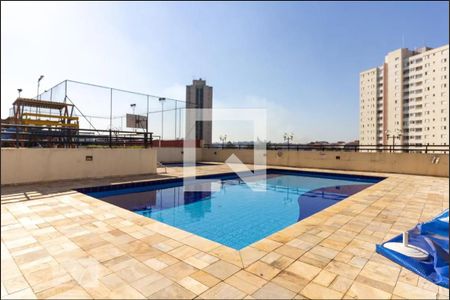 Área comum - Piscina de apartamento à venda com 3 quartos, 76m² em Butantã, São Paulo