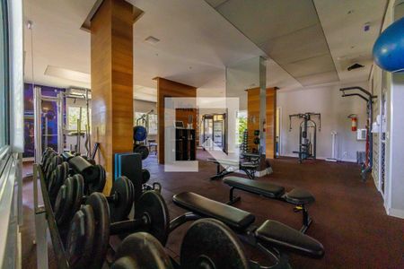 Área Comum - Academia de apartamento para alugar com 3 quartos, 90m² em Barra da Tijuca, Rio de Janeiro