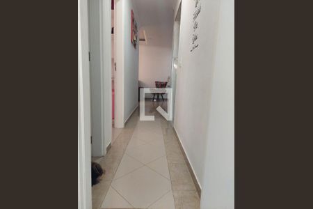 Corredor de apartamento para alugar com 2 quartos, 56m² em Santa Terezinha, São Bernardo do Campo