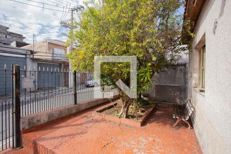 Quintal de casa à venda com 2 quartos, 320m² em Vila Santa Maria, São Paulo