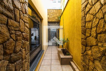Quintal de casa para alugar com 3 quartos, 250m² em Vila Jacuí, São Paulo