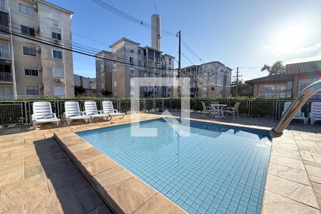 Área comum - Piscina de apartamento à venda com 2 quartos, 57m² em Humaitá, Porto Alegre