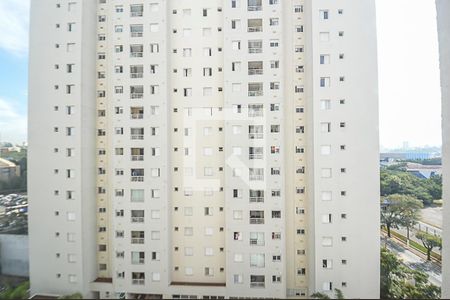 Vista do Quarto de apartamento à venda com 2 quartos, 65m² em Jardim do Mar, São Bernardo do Campo