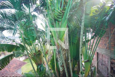 Vista do Quarto 1 de apartamento à venda com 2 quartos, 35m² em Canudos, Novo Hamburgo