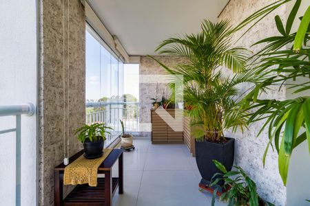 Sala de apartamento à venda com 3 quartos, 177m² em Jardim Monte Kemel, São Paulo