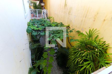 Vista da Varanda de casa à venda com 5 quartos, 187m² em Jardim das Camelias, São Paulo