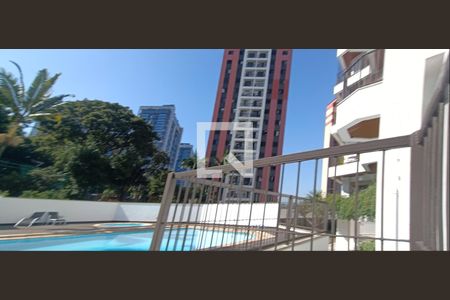 Área comum - Piscina de apartamento à venda com 5 quartos, 300m² em Jardim Colombo, São Paulo