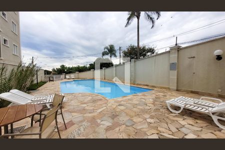 Área comum - Piscina de apartamento para alugar com 2 quartos, 65m² em Mansões Santo Antônio, Campinas