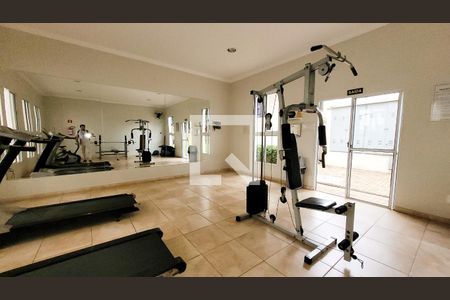 Área comum - Academia de apartamento para alugar com 2 quartos, 65m² em Mansões Santo Antônio, Campinas