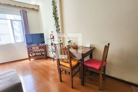 Sala de apartamento para alugar com 2 quartos, 82m² em Flamengo, Rio de Janeiro