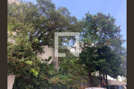 Foto 29 de apartamento à venda com 2 quartos, 54m² em Betânia, Belo Horizonte