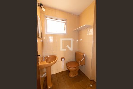 Banheiro de apartamento para alugar com 1 quarto, 50m² em Bosque, Campinas