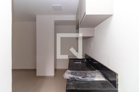 Cozinha de apartamento para alugar com 1 quarto, 28m² em Vila Lucia, São Paulo
